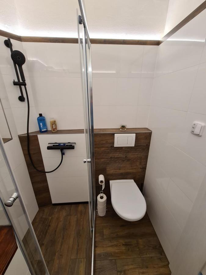 Svetly Prostorny Byt V Karline Apartman Prága Kültér fotó