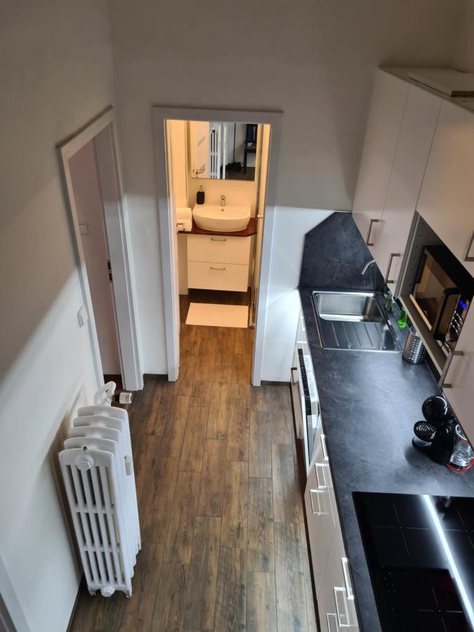 Svetly Prostorny Byt V Karline Apartman Prága Kültér fotó