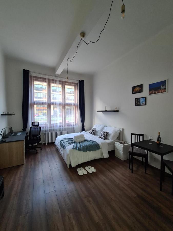 Svetly Prostorny Byt V Karline Apartman Prága Kültér fotó