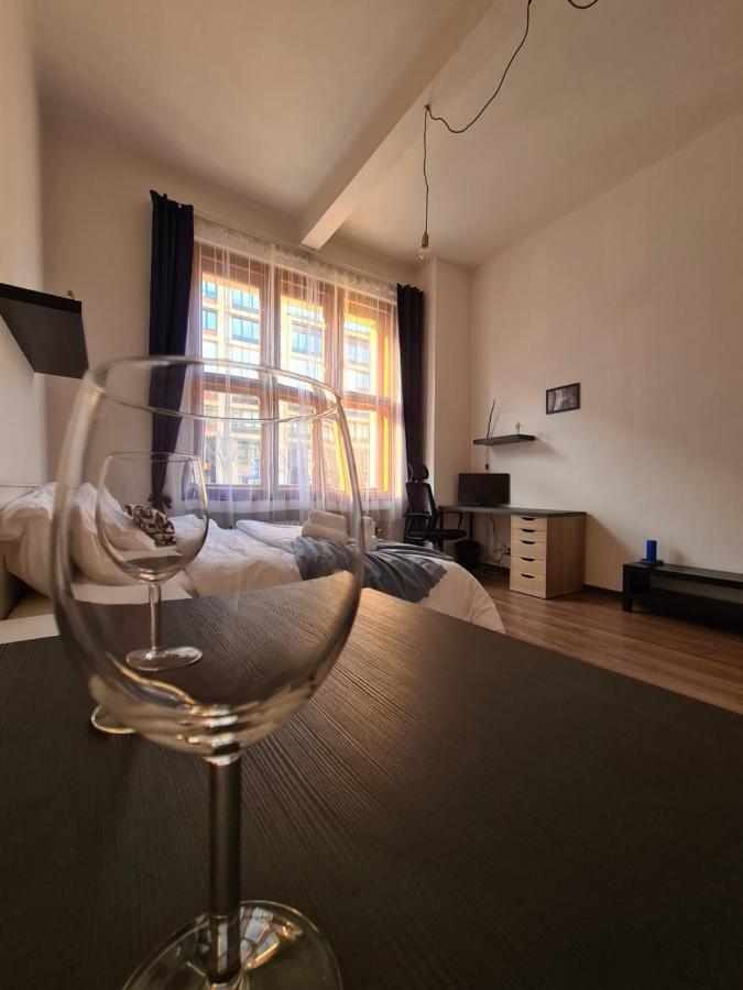 Svetly Prostorny Byt V Karline Apartman Prága Kültér fotó