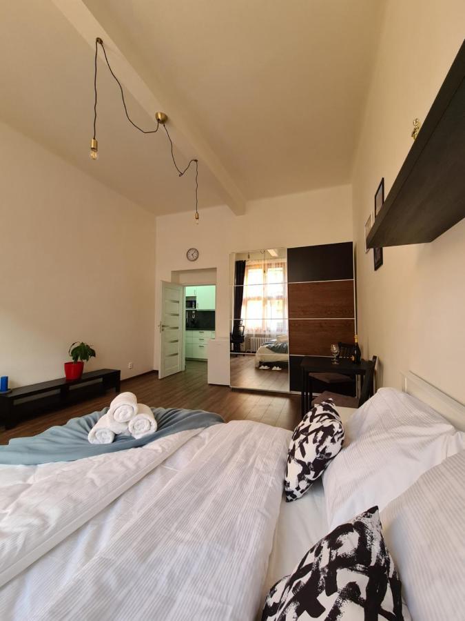 Svetly Prostorny Byt V Karline Apartman Prága Kültér fotó