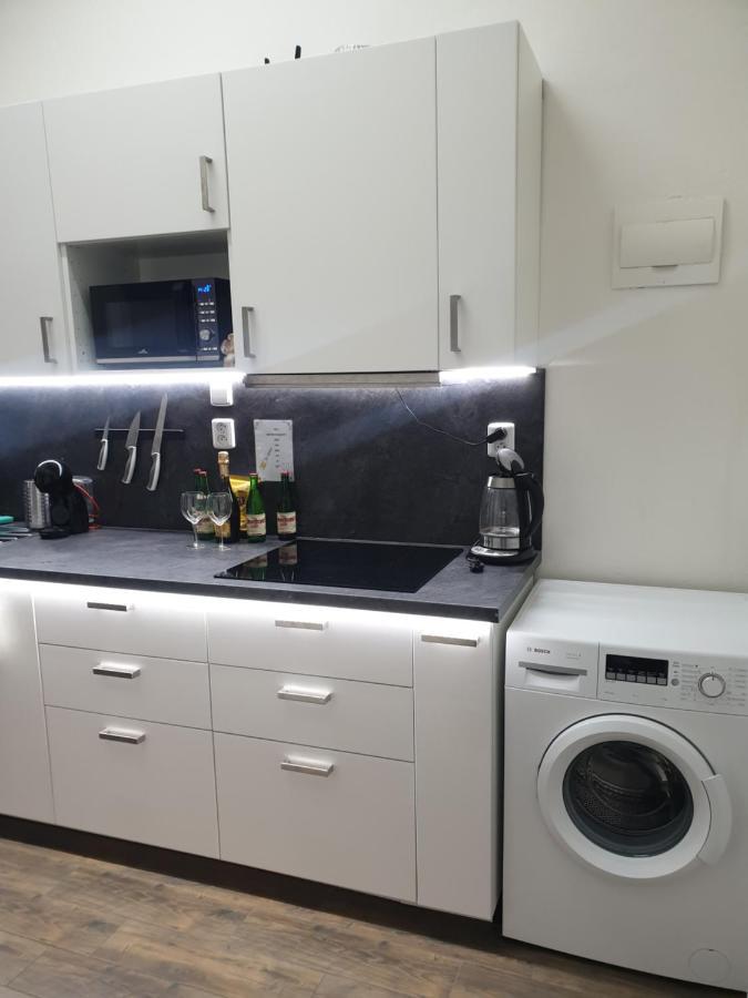 Svetly Prostorny Byt V Karline Apartman Prága Kültér fotó